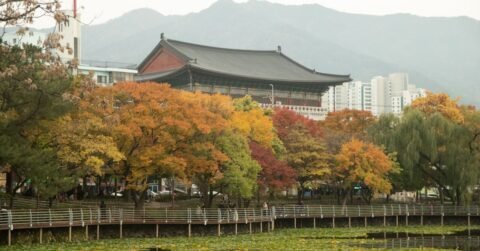가을 해외여행지 추천, 단풍만 보고 고르면 아쉬운 날씨와 혼잡도 비교